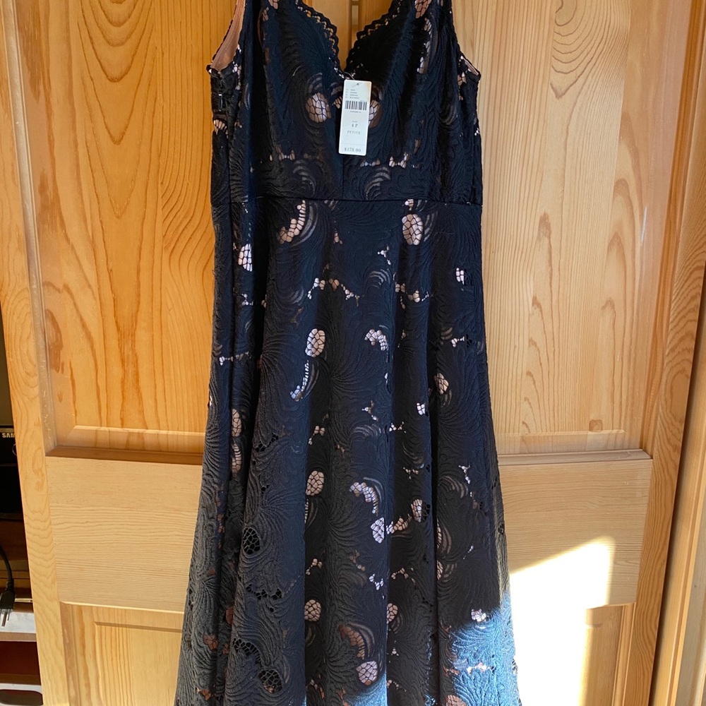 Anthropologie Dress NWT